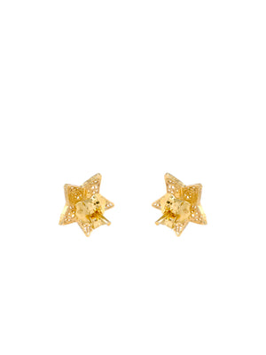 Brincos Estrelitas em filigrana (61334519825)
