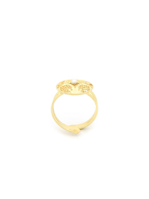 Anel Altruísta (5879925637270)