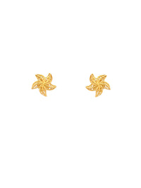 Brincos Estrelas do Mar – Prata Dourada
