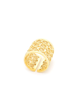 Anel Circunferências