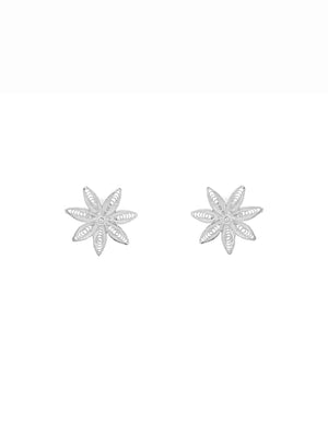 Brincos Invasão Floral M (4173344079931)