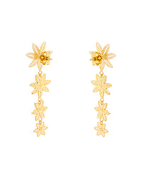 Brincos Invasão Floral