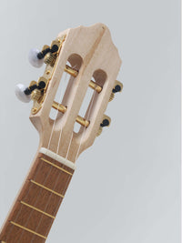 Cavaquinho Trinador