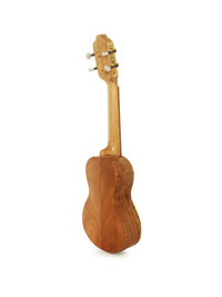 Cavaquinho Trinador