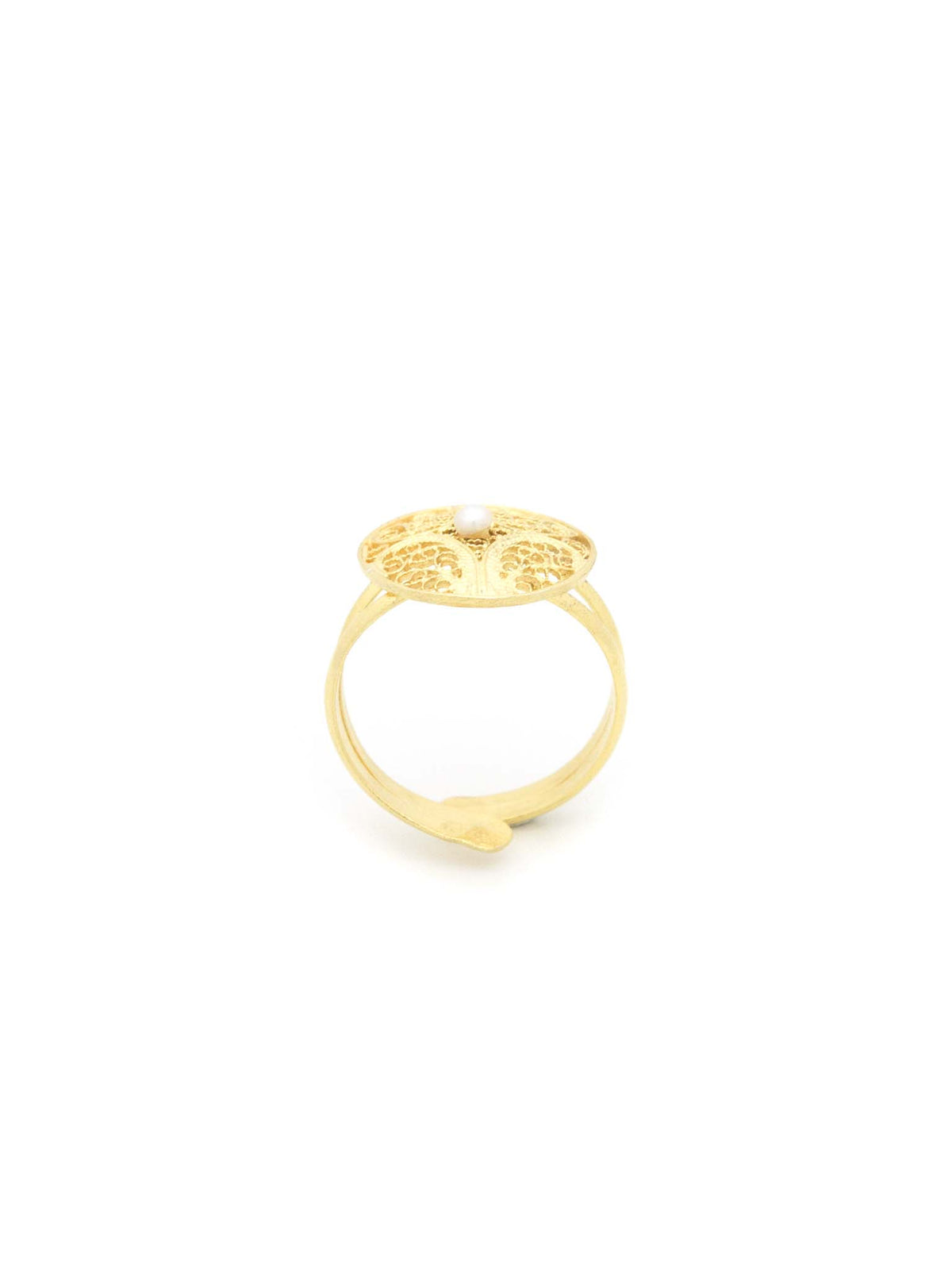 Anel Altruísta (5879925637270)