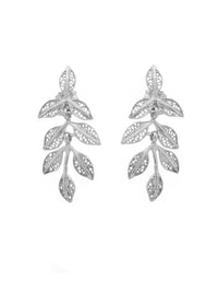 Brincos Naturalmente Belos – Prata