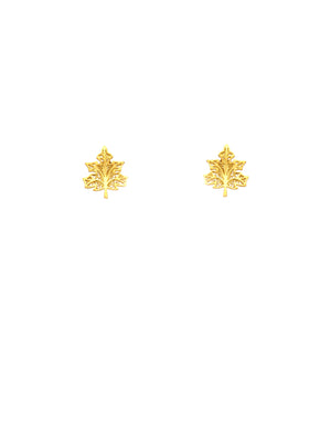 Brincos Folha Plátano